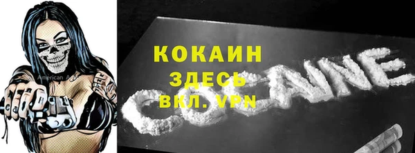 дурь Сясьстрой