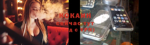 дурь Сясьстрой