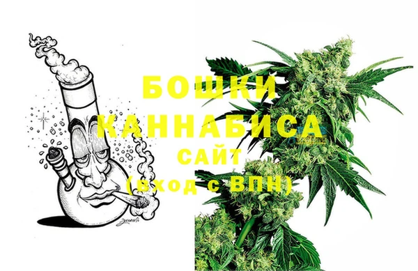 дурь Сясьстрой