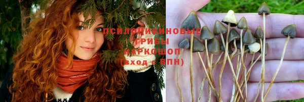 кристаллы Тайга