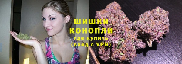 дурь Сясьстрой