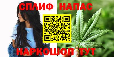 стафф Абинск