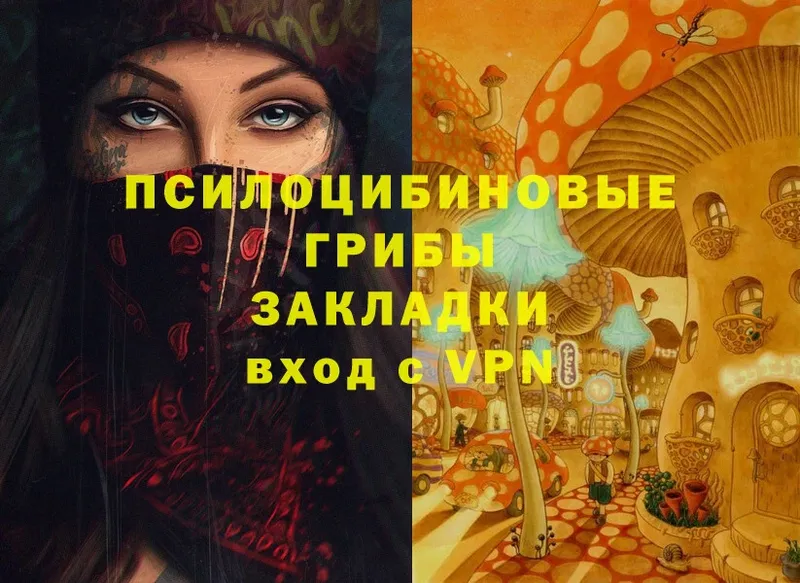 где продают   Алатырь  blacksprut вход  Псилоцибиновые грибы GOLDEN TEACHER 
