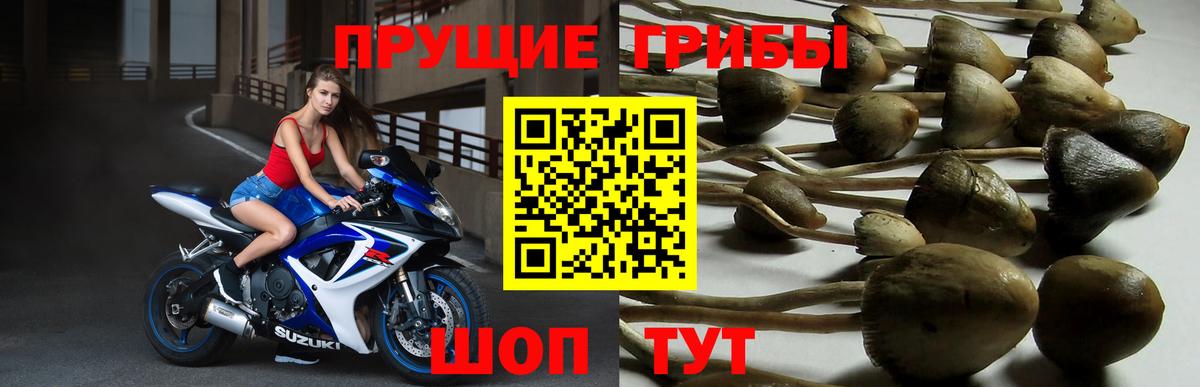 Галлюциногенные грибы MAGIC MUSHROOMS  Вход с VPN  Псилоцибиновые грибы ЛСД  Алатырь 
